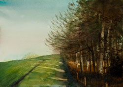 Field Near Salt, watercolour