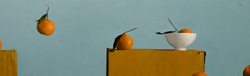 Clementines, acrylic on board